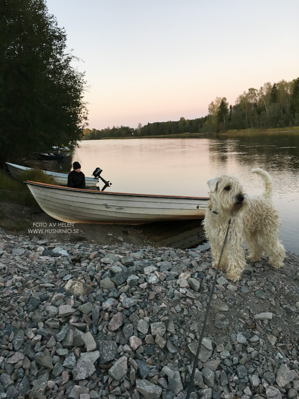 mbklaralven10oktober