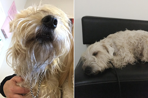 bhoftledsrontgen161103